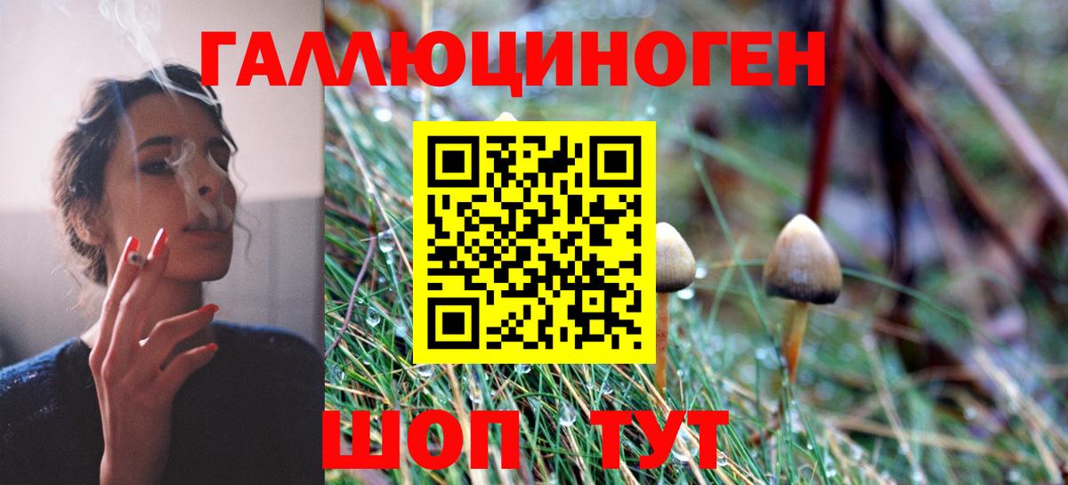 Псилоцибиновые грибы Cubensis  Вход с VPN  Карталы  Псилоцибиновые грибы Magic Shrooms 